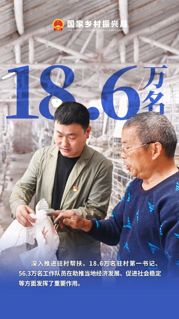 数说巩固拓展脱贫攻坚成果同乡村振兴有效衔接第二年