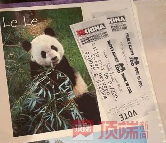 旅美大熊猫“乐乐”离世,“丫丫”何时能回家? 旅美大熊猫“乐乐”离世,“丫丫”何时能回家?