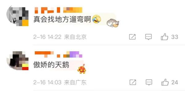 吓蒙！开车途中，挡风玻璃窜出一条一米长的蛇