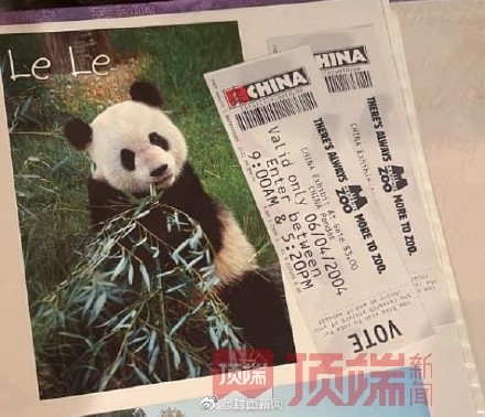 知情人称丫丫有望提前回国 已有专人赴美照看