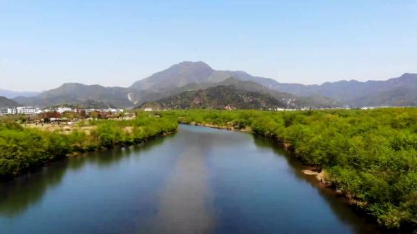 厉害了!“摸鱼”摸出新物种 厉害了!“摸鱼”摸出新物种