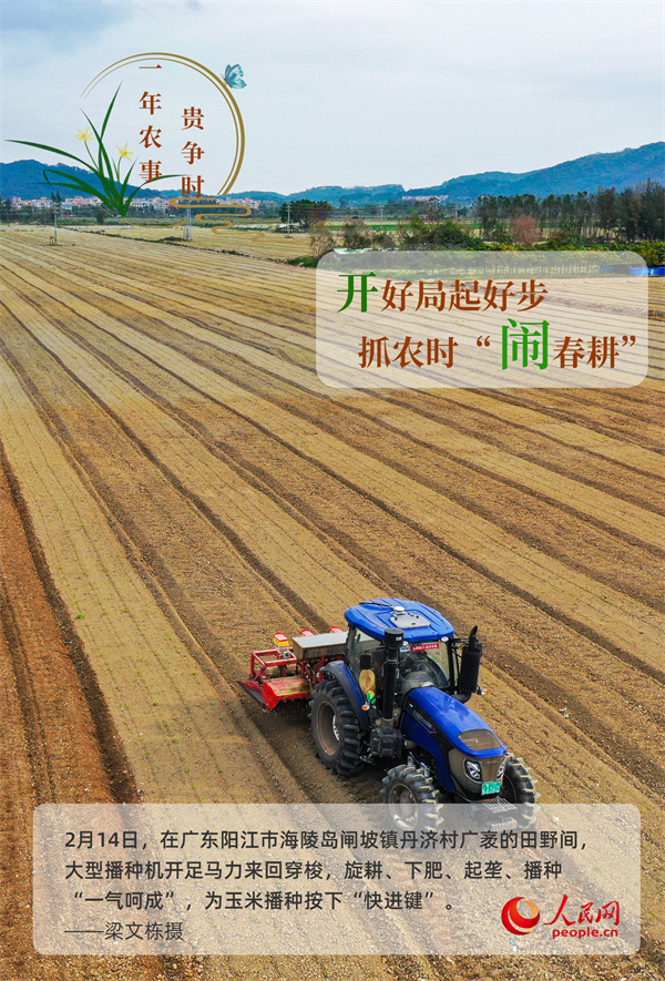 奋进的春天｜万象“耕”新 一年农事贵争时