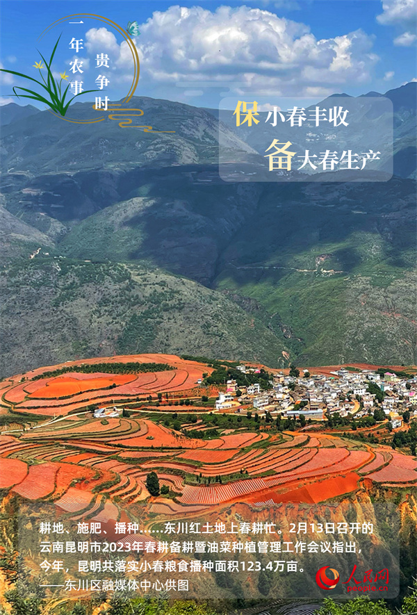 奋进的春天｜万象“耕”新 一年农事贵争时