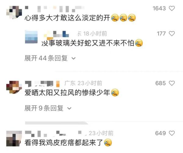 吓蒙！开车途中，挡风玻璃窜出一条一米长的蛇