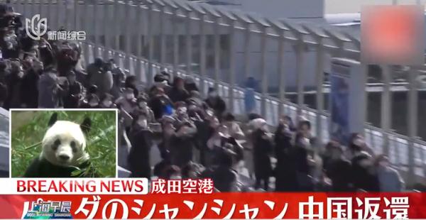 真·顶流来了！5年吸金27亿 有人因未能送别痛哭流涕