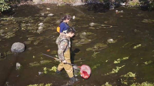 厉害了!“摸鱼”摸出新物种 厉害了!“摸鱼”摸出新物种