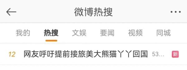 旅美大熊猫瘦成皮包骨?网友“心疼”刷屏!最新进展 旅美大熊猫瘦成皮包骨?网友“心疼”刷屏!最新进展