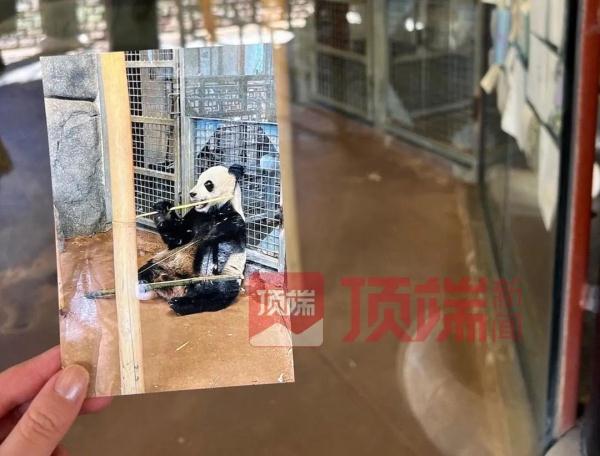 丫丫怎么了？