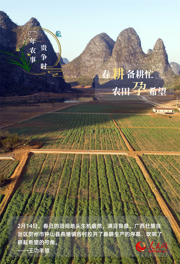 奋进的春天｜万象“耕”新 一年农事贵争时