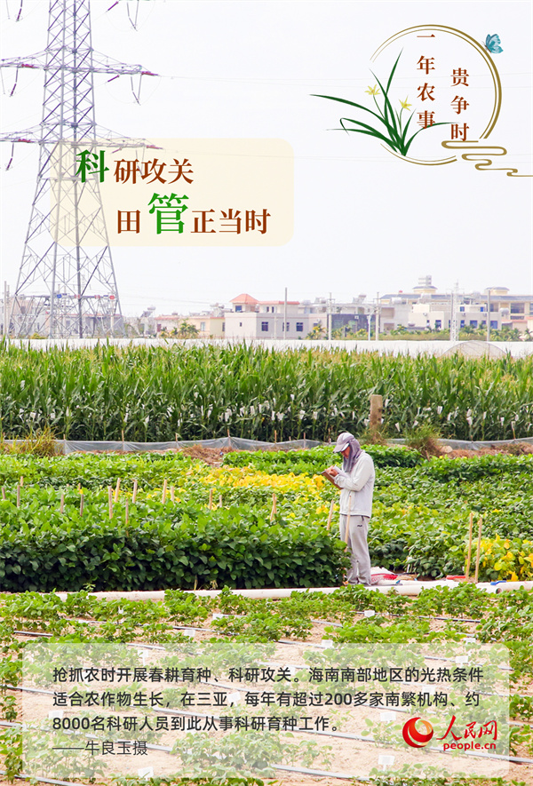 奋进的春天｜万象“耕”新 一年农事贵争时