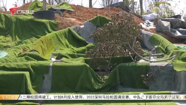 广州一小区山景房变“坟景房” &nbsp;相关部门要求整改