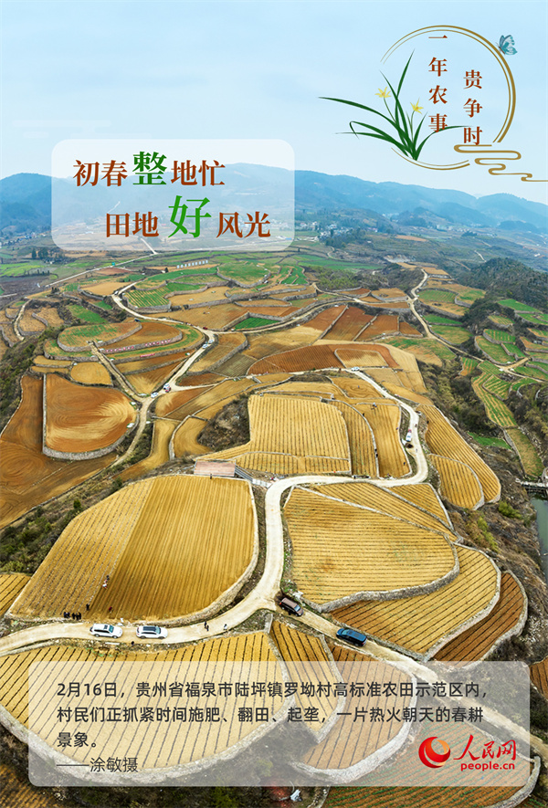 奋进的春天｜万象“耕”新 一年农事贵争时