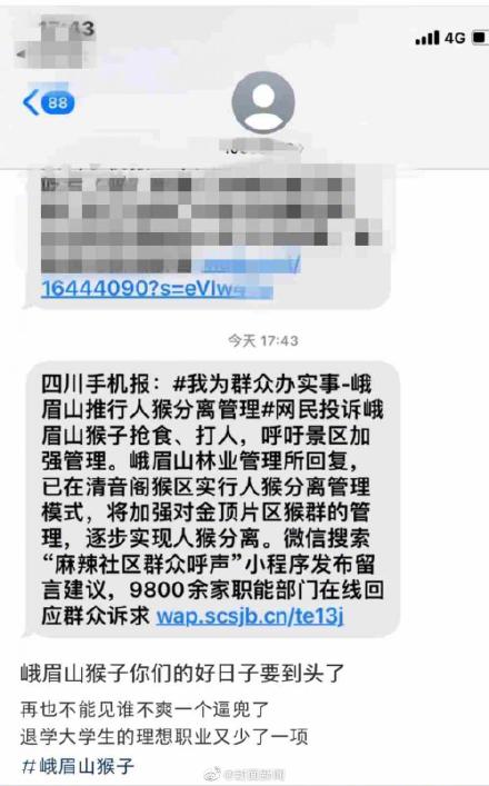 峨眉山将逐步实现人猴分离 网友：“大师兄”好日子到头了