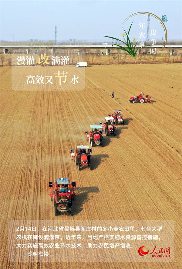 奋进的春天｜万象“耕”新 一年农事贵争时