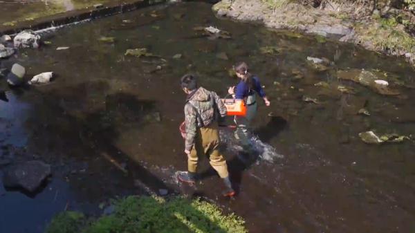 厉害了!“摸鱼”摸出新物种 厉害了!“摸鱼”摸出新物种