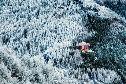 只一眼就心动！宁夏六盘山初春雾凇惊艳绽放