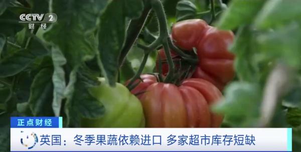 西红柿黄瓜也限购？这里大型超市纷纷宣布