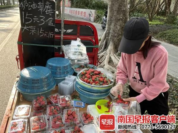 草莓自由?路边摊1元1盒,没想到都是套路! 草莓自由?路边摊1元1盒,没想到都是套路!