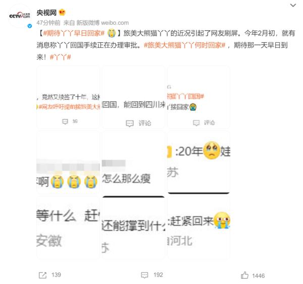 大熊猫“丫丫”冲上热搜，原因却令人心酸！网友刷屏：快接她回家！