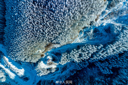 只一眼就心动！宁夏六盘山初春雾凇惊艳绽放