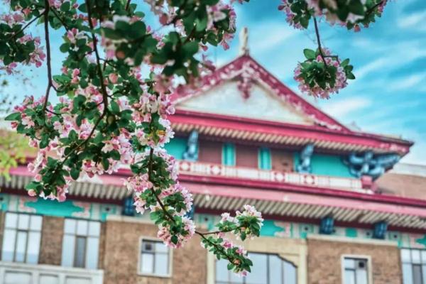 天津今年第一波花开了！赏花指南→