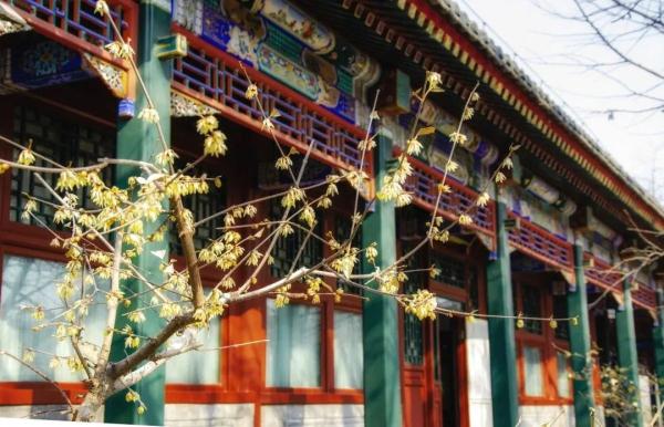 幽香浮动！邂逅第一抹春色，赏花地图——