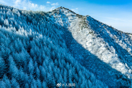 只一眼就心动！宁夏六盘山初春雾凇惊艳绽放