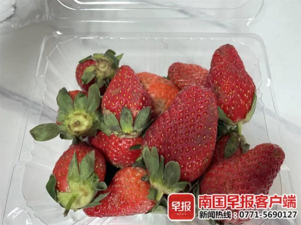 草莓自由?路边摊1元1盒,没想到都是套路! 草莓自由?路边摊1元1盒,没想到都是套路!