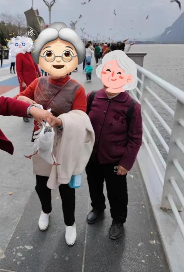 奶奶！放开我……滇池大坝又上演伤鸥举动