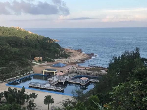 “湾得福”!海龟为何独爱这一湾? “湾得福”!海龟为何独爱这一湾?