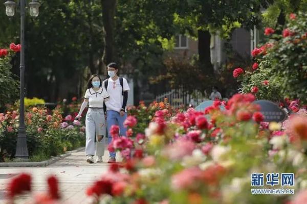 天津今年第一波花开了！赏花指南→