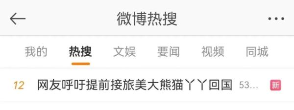 大熊猫“丫丫”冲上热搜，原因却令人心酸！网友刷屏：快接她回家！