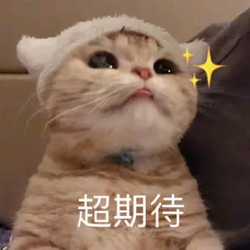 "养猪不如养上海人"！热门旅游地口号？哭笑不得的上海人朋友圈刷屏…