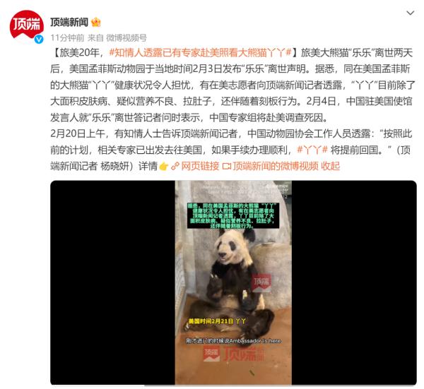 大熊猫“丫丫”冲上热搜，原因却令人心酸！网友刷屏：快接她回家！