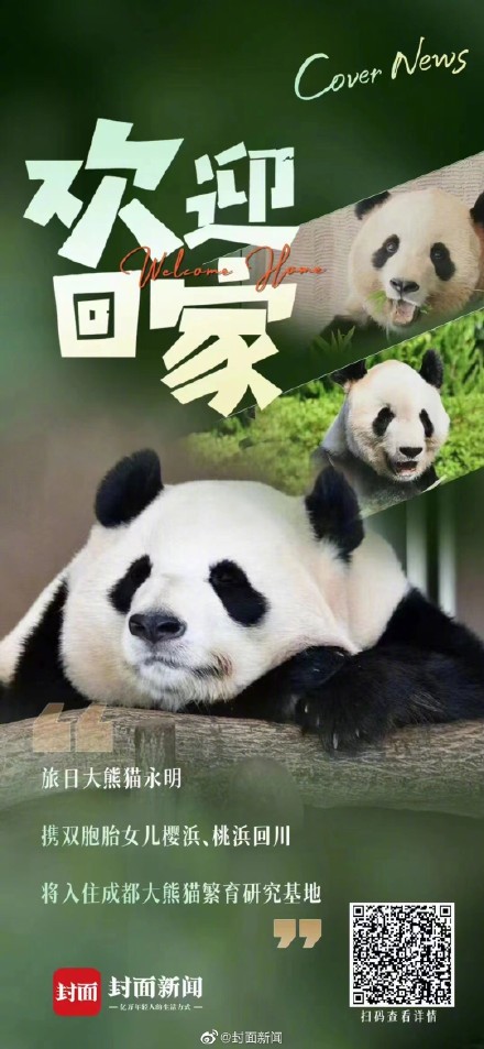 到家了！父女三熊返川后将进行30天检疫隔离