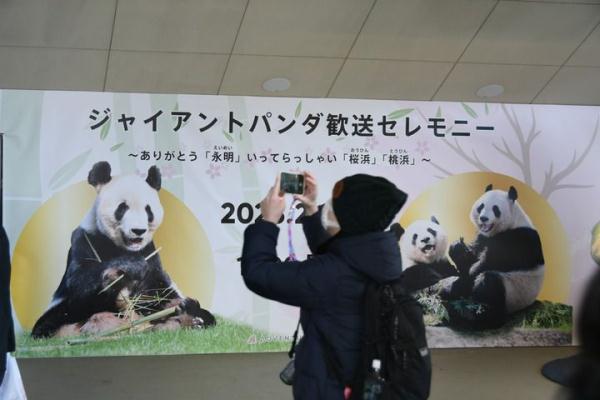 回国养老的熊猫爸爸，让日本朋友又哭一场