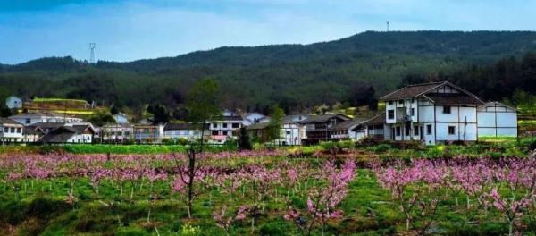 欢迎来到花花世界！这份广元春日赏花手绘地图请收藏