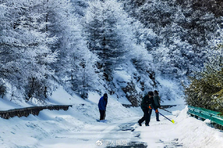 只一眼就心动！宁夏六盘山初春雾凇惊艳绽放