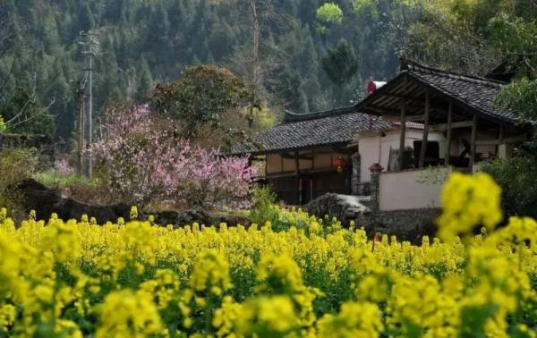 欢迎来到花花世界！这份广元春日赏花手绘地图请收藏