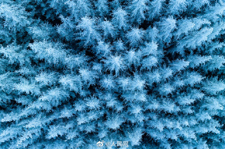 只一眼就心动！宁夏六盘山初春雾凇惊艳绽放