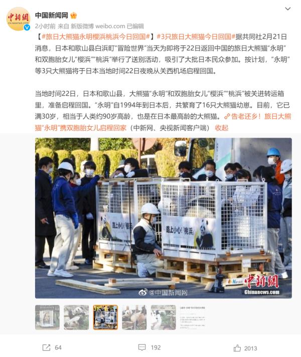 大熊猫“丫丫”冲上热搜，原因却令人心酸！网友刷屏：快接她回家！