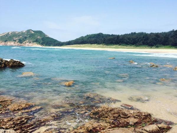 “湾得福”!海龟为何独爱这一湾? “湾得福”!海龟为何独爱这一湾?