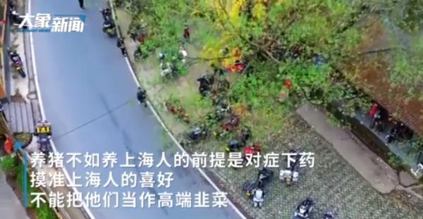“养猪不如养上海人”？浙江一地旅游口号引发热议，涉事教授回应