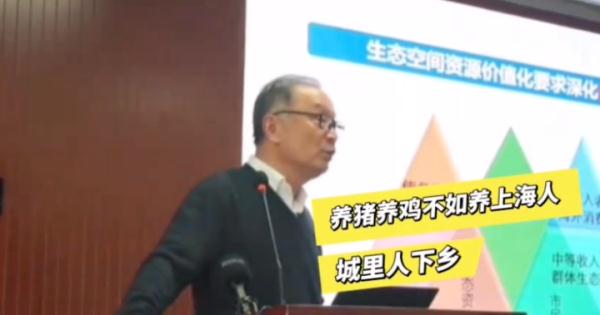 “养猪不如养上海人”？浙江一地旅游口号引发热议，涉事教授回应