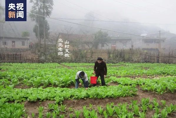 营养餐给山区孩子带来了什么？支教老师这段讲述感动无数网友