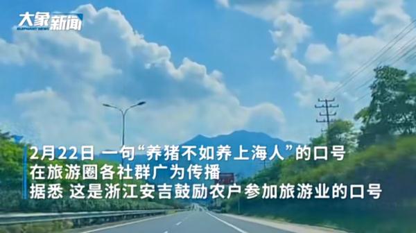 “养猪不如养上海人”？浙江一地旅游口号引发热议，涉事教授回应
