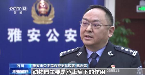珍贵濒危野生动物被贩卖 四川警方斩断一条野生动物交易链 珍贵濒危野生动物被贩卖 四川警方斩断一条野生动物交易链