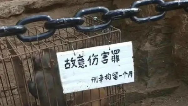 峨眉山的猴子被拘留？景区回应了