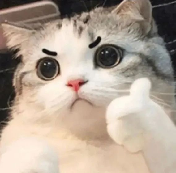 有一种行李箱叫“爸妈觉得还能塞……” 有一种行李箱叫“爸妈觉得还能塞……”