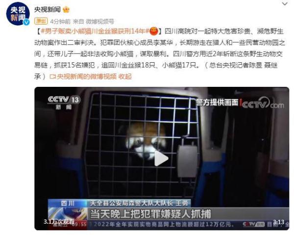 男子贩卖小熊猫、川金丝猴获刑14年